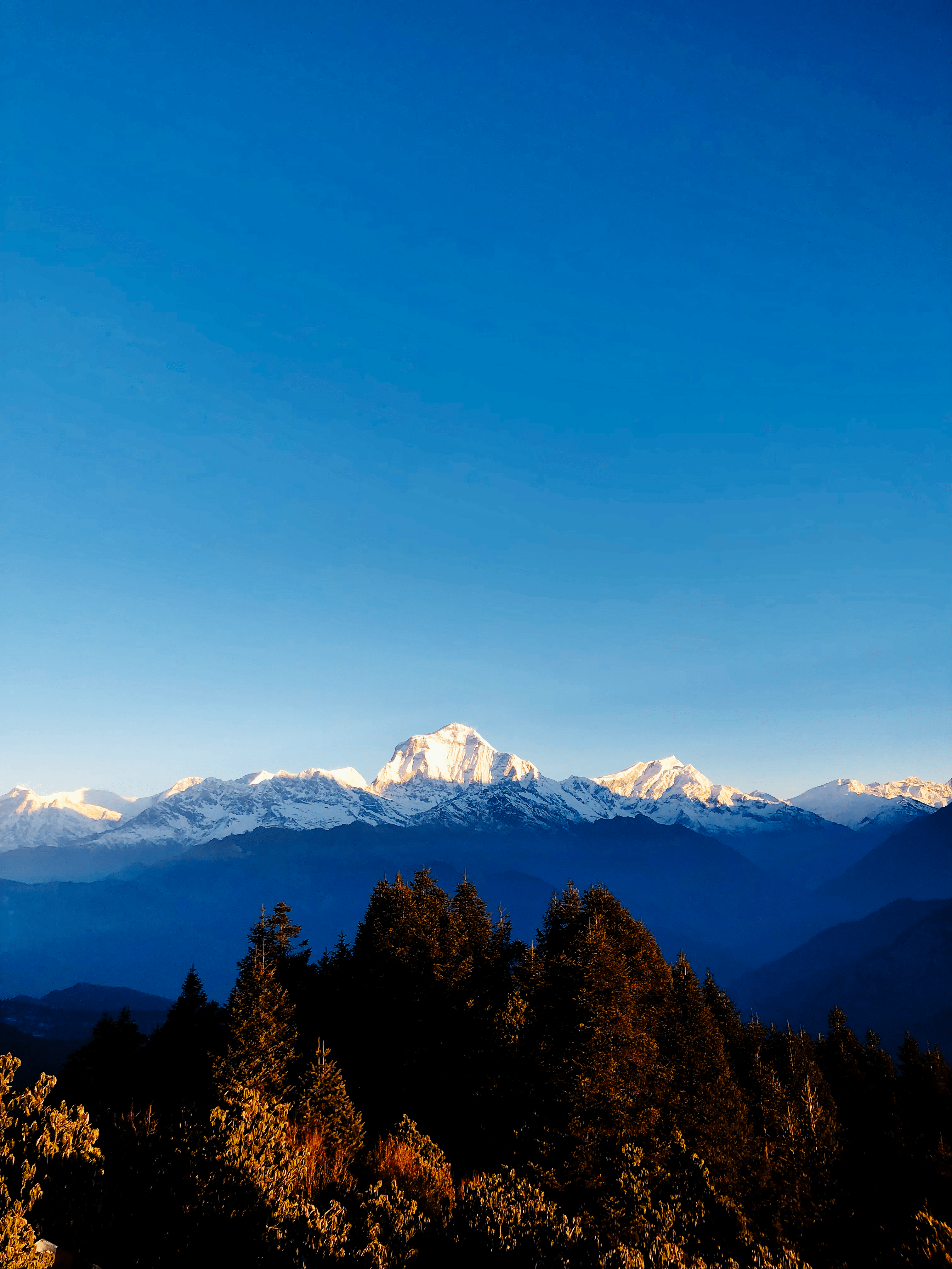 Mt. Annapurna